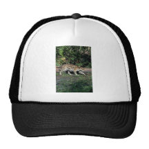 Ocelot Gorro
