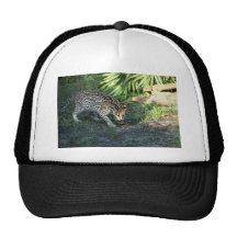Ocelot Gorro