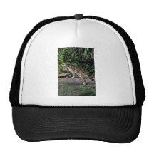 Ocelot Gorro