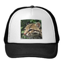 Ocelot Gorros