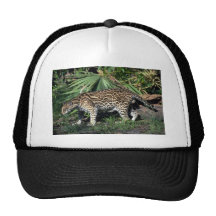 Ocelot Gorros