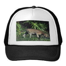 Ocelot Gorros