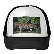 Ocelot Gorros Bordados
