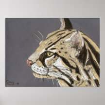 ocelot - poster