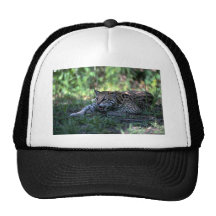 Ocelot que se acuesta gorro