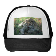 Ocelot que se acuesta gorros bordados