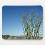 Ocotillo en flores de la flor alfombrillas de ratón