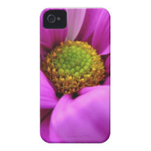 Ocultado dentro iPhone 4 funda