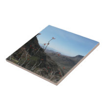 Oeste-Tejas Vista