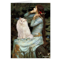 Ofelia - gato persa blanco #13 felicitación