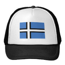 Oferta alternativa estonia, bandera de Estonia Gorro