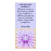 ¡¡OH HIJO DEL ESPÍRITU! LONAS PUBLICITARIAS
