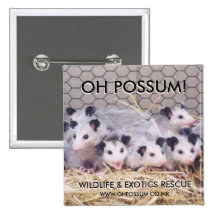 ¡Oh oposum! Botón 4 del rescate Pins
