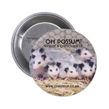 ¡Oh oposum! Botón del rescate Pins