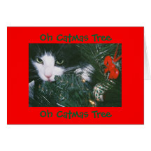 Oh tarjeta del árbol de Catmas