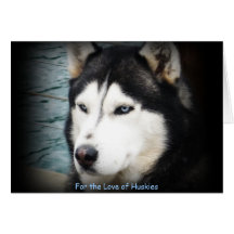 ohhshadow, para el amor de perros esquimales felicitación