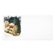 Ojeada de Yorkie una tarjeta Yorkshire Terrier de  Tarjeta Fotográfica Personalizada