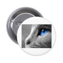 Ojo azul de siamés pins