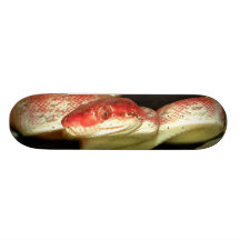 Ojo de la serpiente Bro animal fresco/muchachos/re Monopatín Personalizado