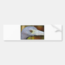 Ojo de los pájaros etiqueta de parachoque