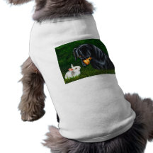 Ojo de Pascua a observar - perro del Dachshund y c Camisa De Mascota