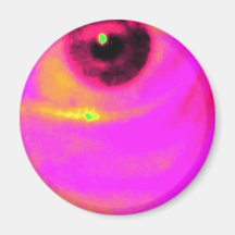 ojo de un artista imanes para frigoríficos