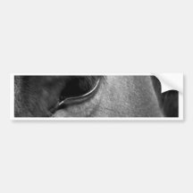 Ojo del caballo etiqueta de parachoque