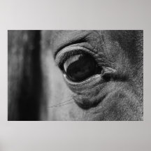 Ojo del potro 3 posters