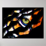 Ojo del rasgón del tigre a través posters