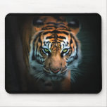 Ojo del tigre tapete de ratones