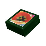 Ojo del tulipán caja de joyas