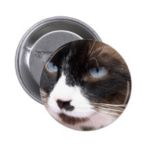 Ojos azules pins