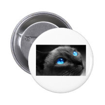 Ojos azules siameses pins