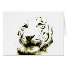 Ojos azules, tigre blanco tarjeton