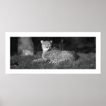 Ojos de Cheeting Posters