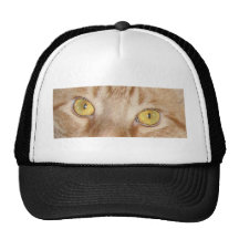 Ojos de gato anaranjados de Tabby Gorro