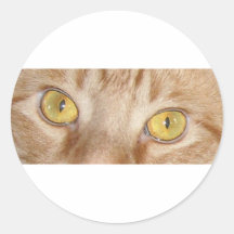 Ojos de gato anaranjados de Tabby Etiquetas Redondas