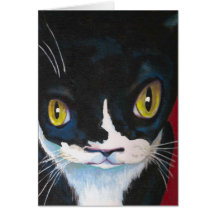 Ojos de gato tarjetas