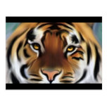 Ojos de Tigga Postales