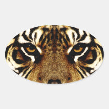 Ojos de un tigre calcomanía de oval