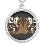 Ojos de un tigre grimpolas