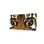 Ojos de un tigre impresiones de lienzo