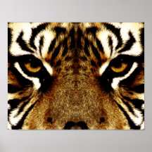 Ojos de un tigre posters