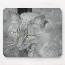 Ojos del gato Mousepad alfombrillas de raton 