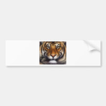 Ojos del tigre etiqueta de parachoque