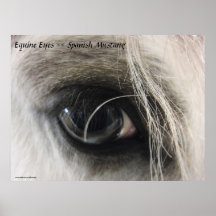 Ojos equinos -- Mustango español Poster