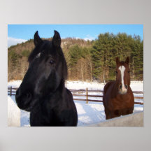 OLORES DEL CABALLO POSTERS