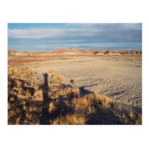Onda del desierto: Parque nacional del bosque ater Postal