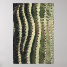 Onda del Saguaro Poster