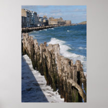 Ondas de la orilla posters